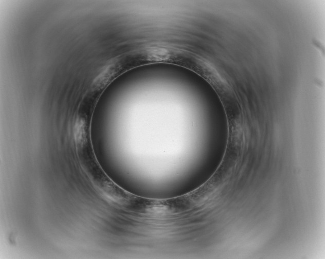 X0000099400598200805081536