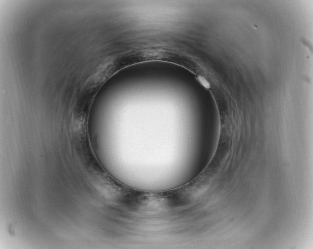 X0000099400601200805081536