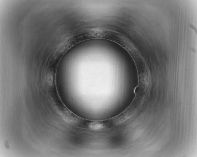 X0000099400602200805081536