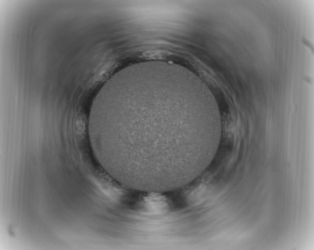 X0000099400603200805081536
