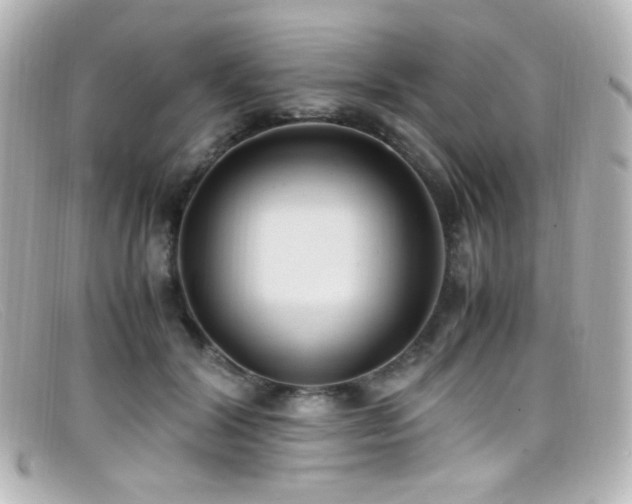 X0000099400604200805081536