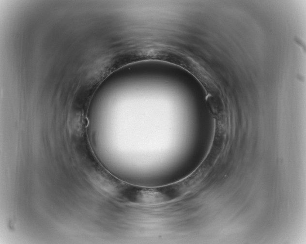 X0000099400605200805081536