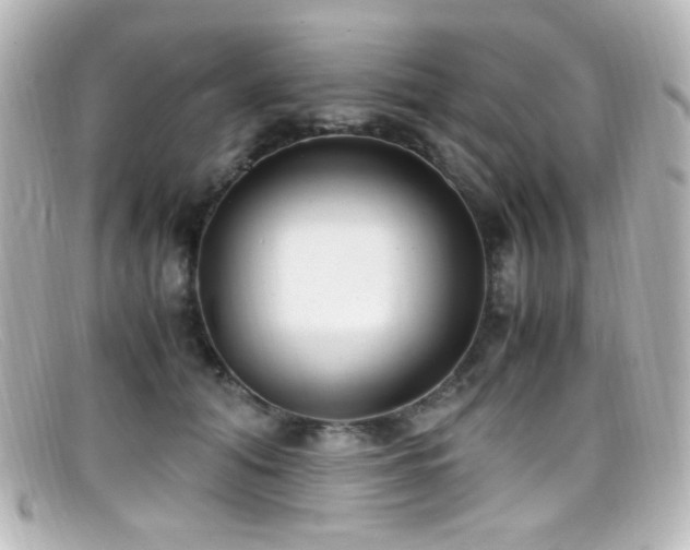 X0000099400608200805081536