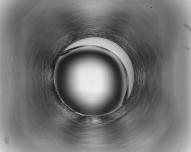 X0000099400610200805081536