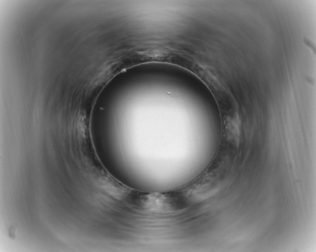 X0000099400612200805081536