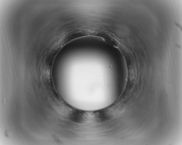 X0000099400613200805081536