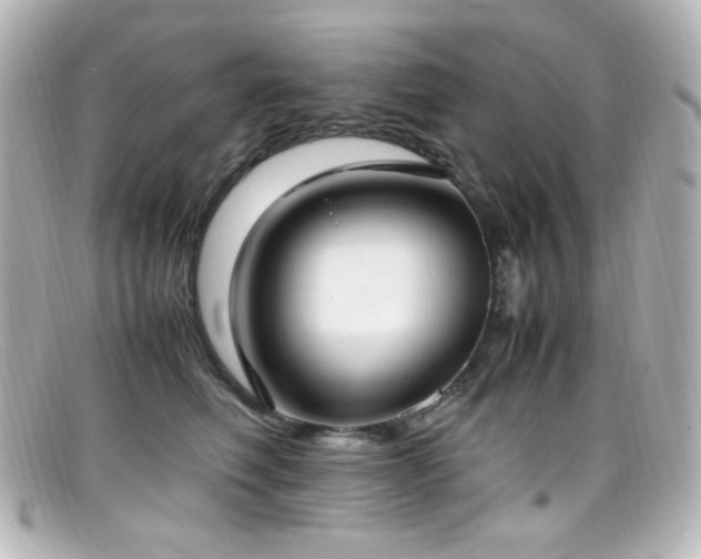 X0000099400614200805081536