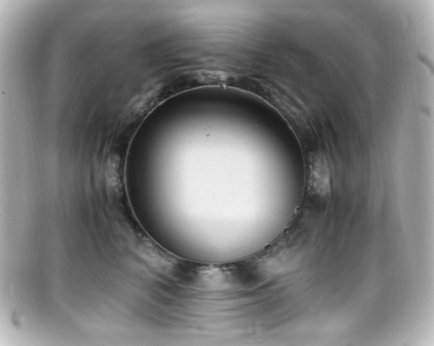 X0000099400616200805081536