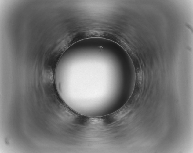 X0000099400617200805081536