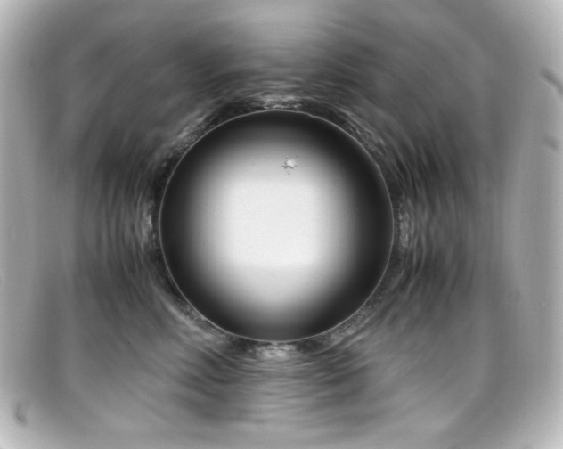 X0000099400618200805081536