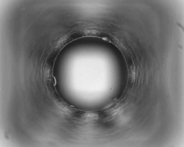 X0000099400619200805081536
