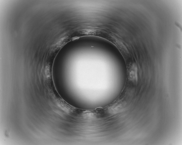 X0000099400620200805081536