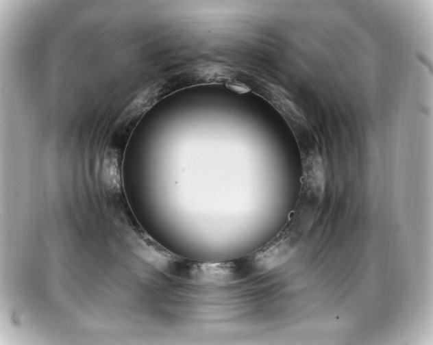 X0000099400622200805081536