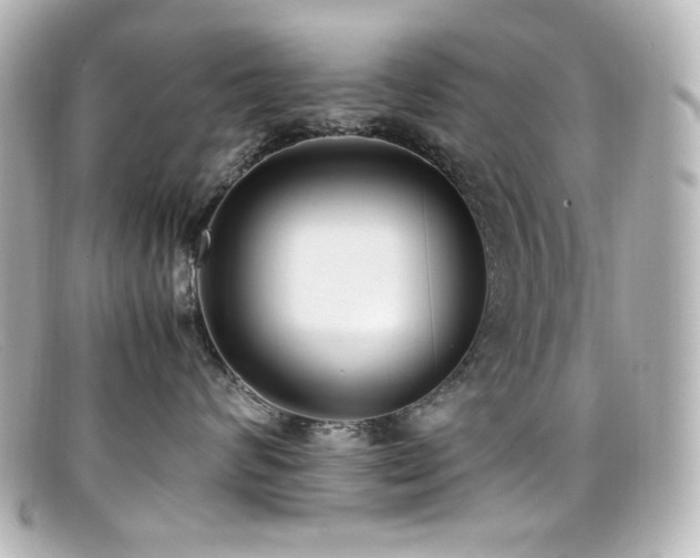 X0000099400624200805081536