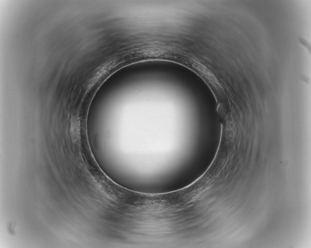 X0000099400626200805081535