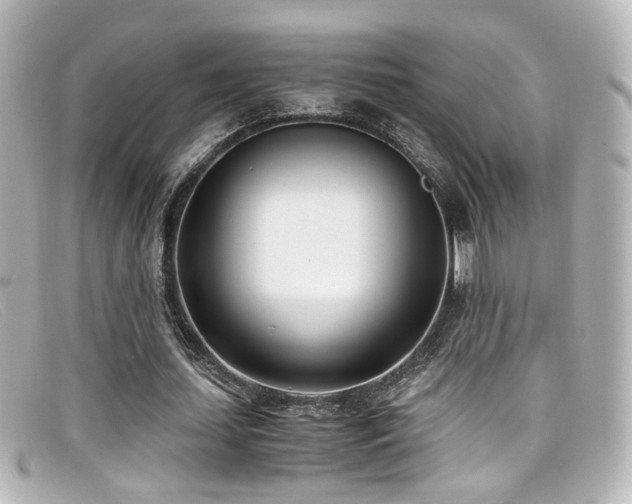 X0000099400627200805081535