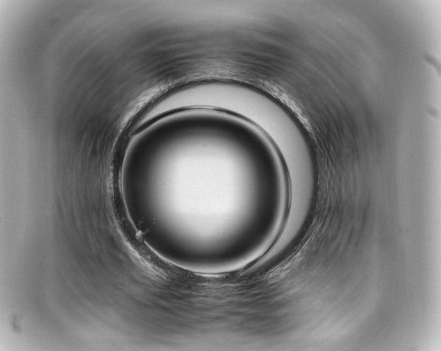 X0000099400629200805081535