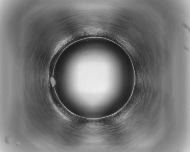 X0000099400630200805081535