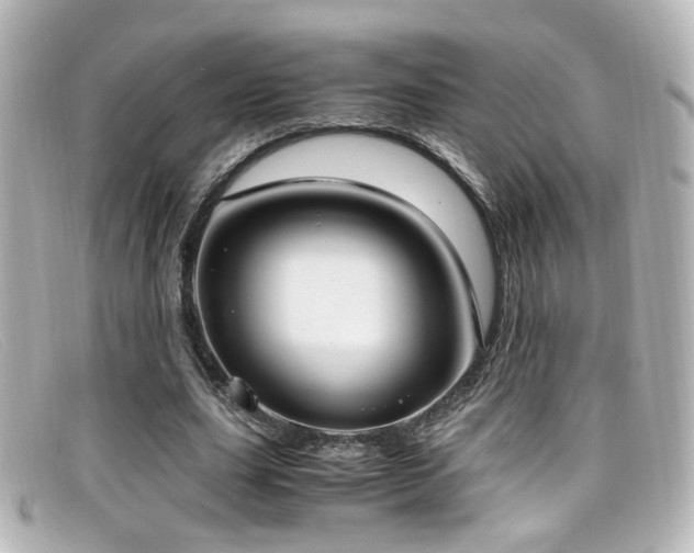 X0000099400631200805081535