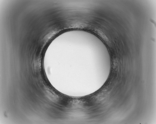 X0000099400632200805081535