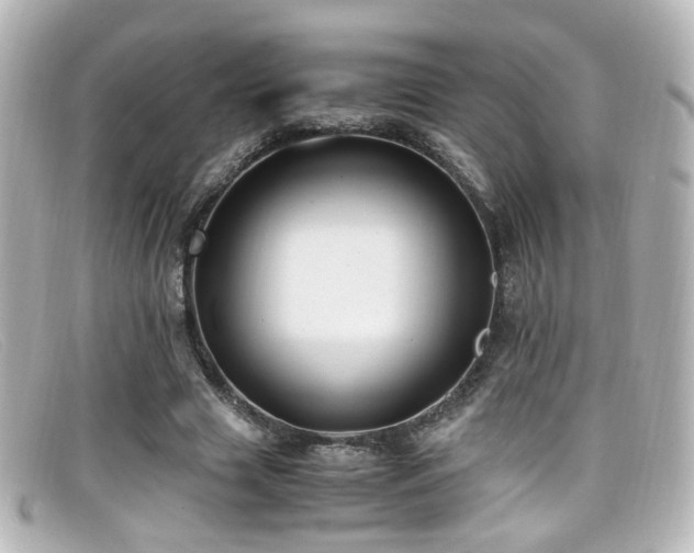 X0000099400633200805081535