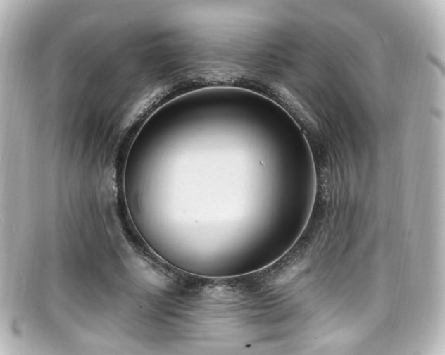 X0000099400634200805081535