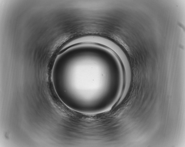 X0000099400635200805081535