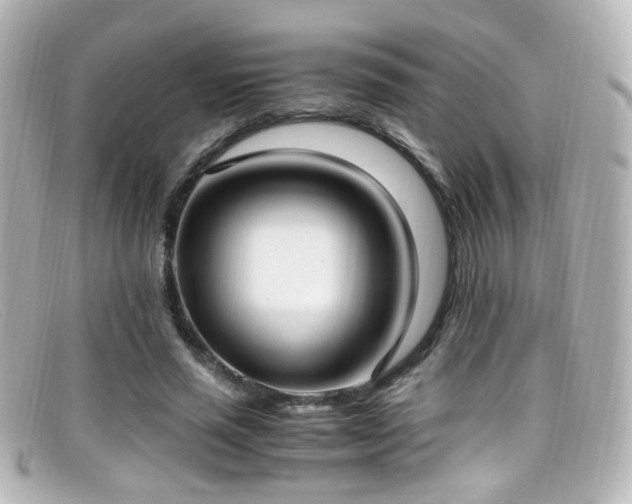 X0000099400637200805081535
