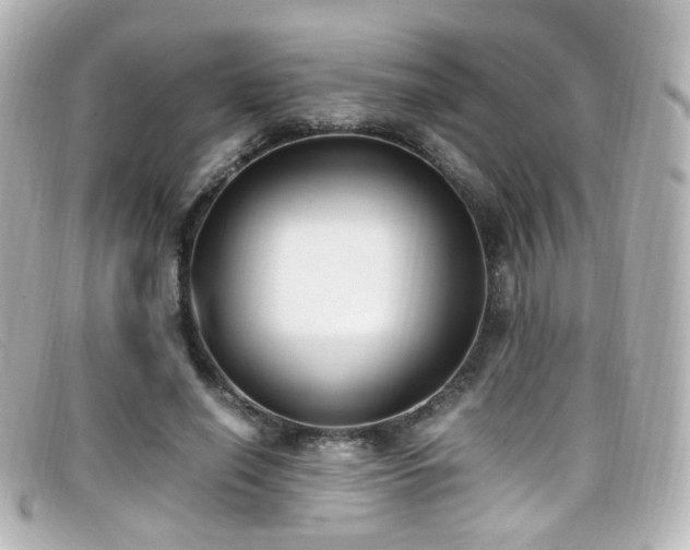 X0000099400638200805081535