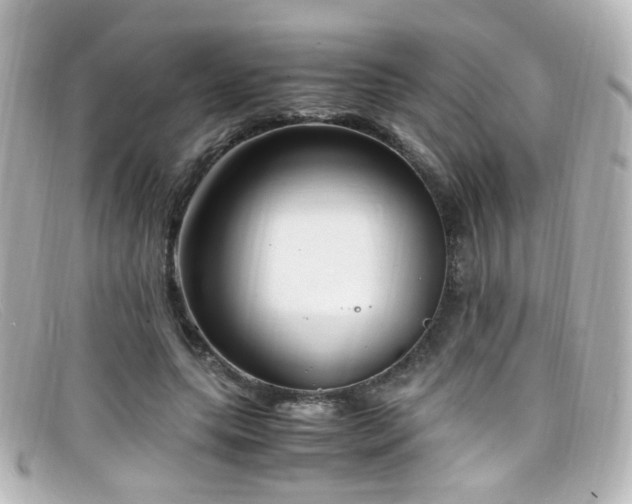 X0000099400639200805081535