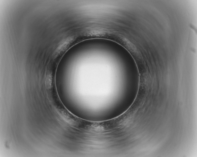 X0000099400640200805081535