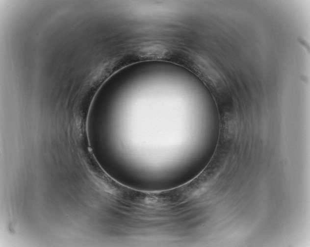 X0000099400641200805081535