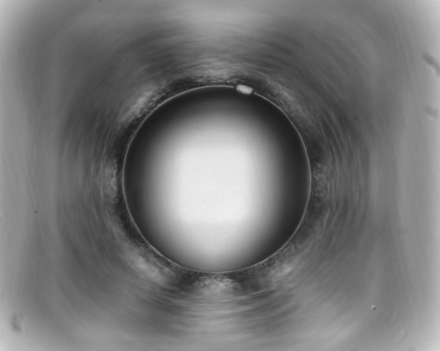 X0000099400642200805081535