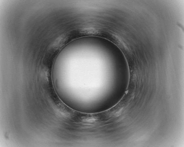 X0000099400643200805081535