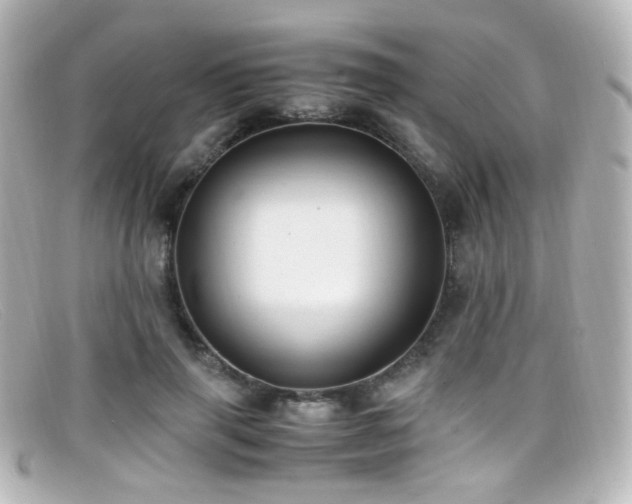 X0000099400645200805081535