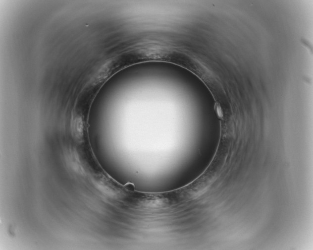 X0000099400646200805081535