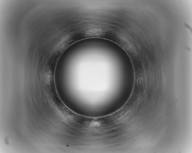 X0000099400647200805081535