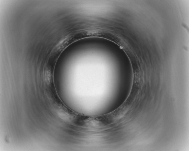 X0000099400648200805081535