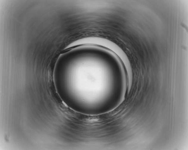 X0000099400651200805081535