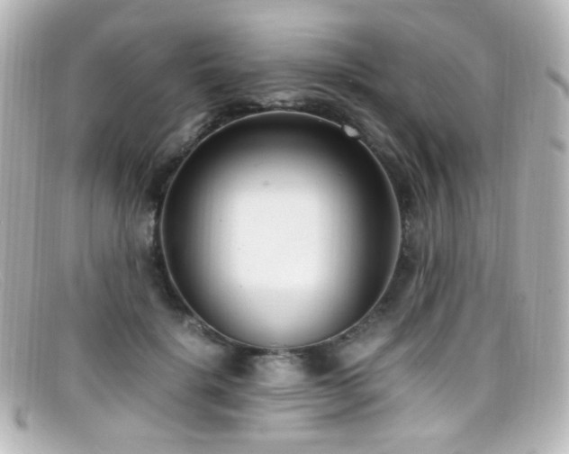X0000099400652200805081535