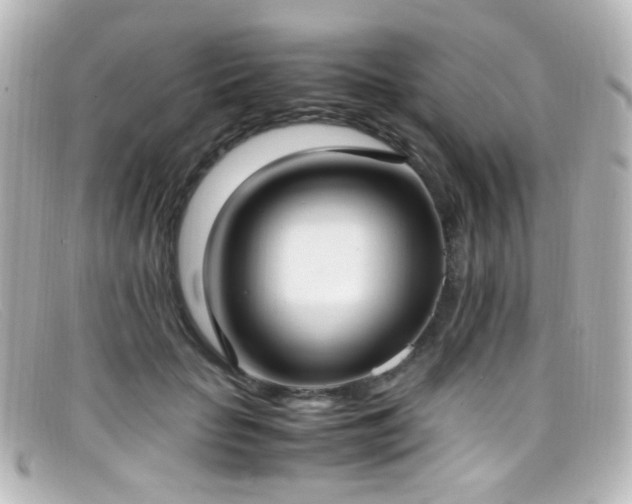 X0000099400653200805081535