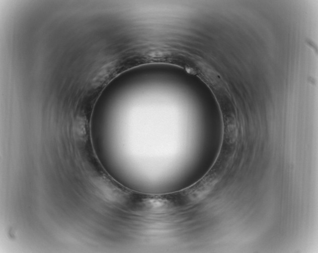 X0000099400654200805081535