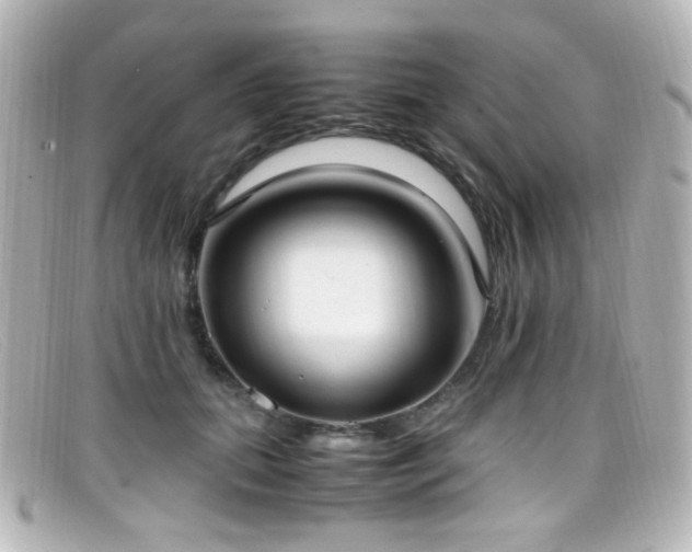 X0000099400655200805081535