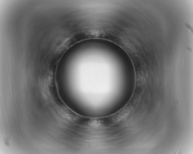 X0000099400656200805081535
