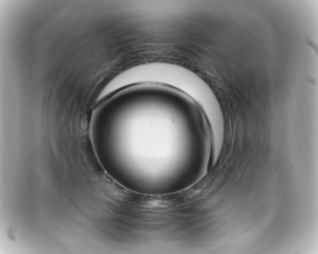X0000099400657200805081535