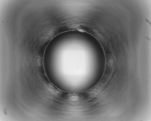 X0000099400658200805081535