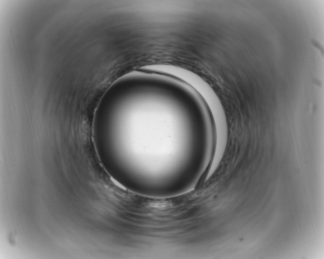 X0000099400659200805081535