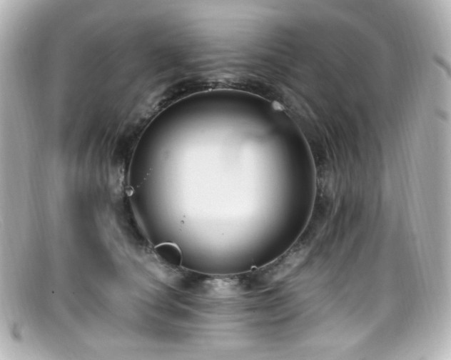 X0000099400660200805081535