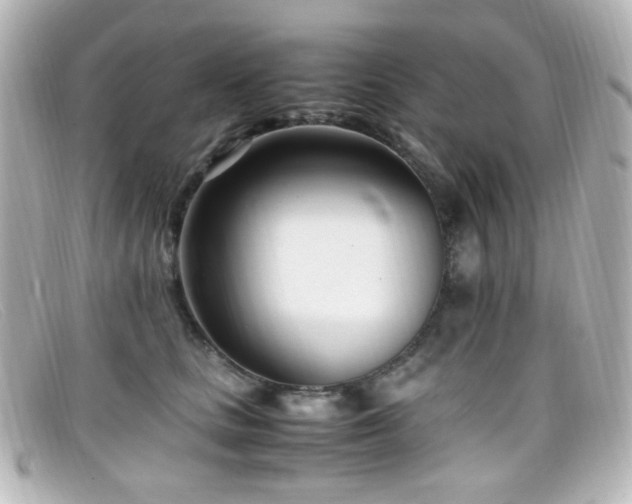 X0000099400661200805081536