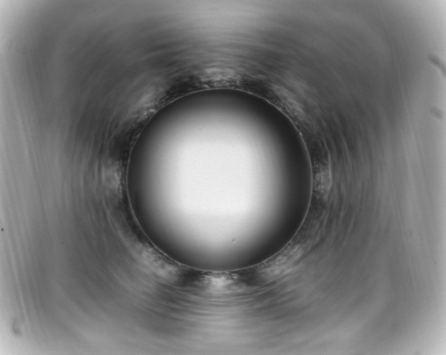 X0000099400662200805081536